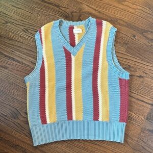 Aime Leon Dore men’s large striped sweater vest in Tourmaline colorway